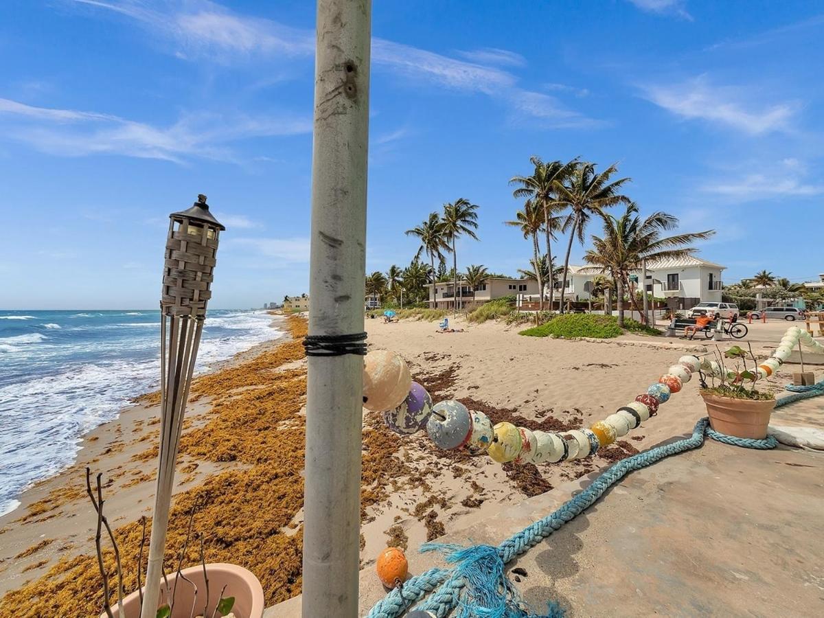 The Shell On Walnut 1Br1Bath Hollywood Beach Free Parking Дейния Бийч Екстериор снимка