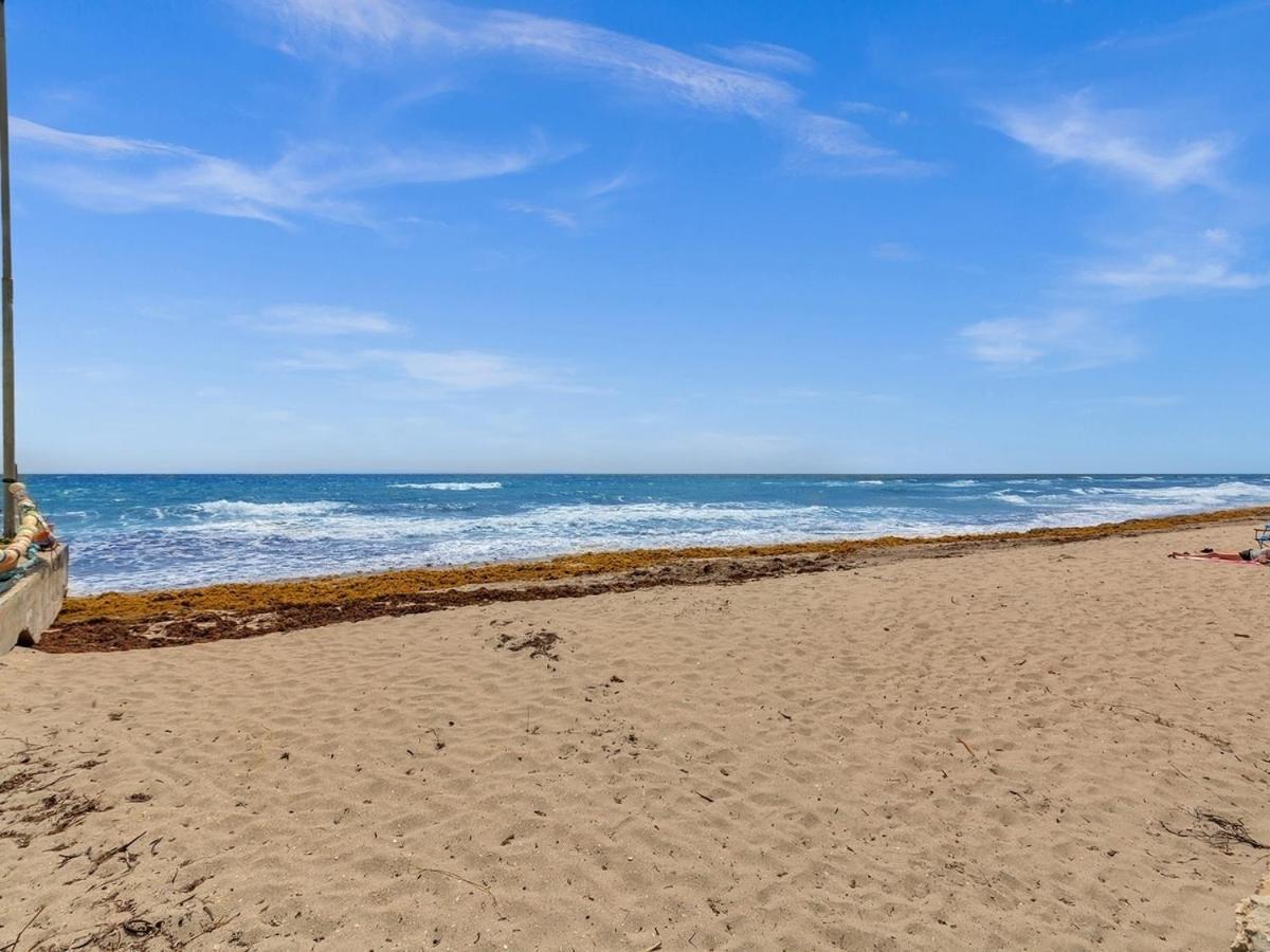 The Shell On Walnut 1Br1Bath Hollywood Beach Free Parking Дейния Бийч Екстериор снимка